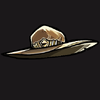 Cowboy hat.png