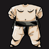 Unflatable sumo suit.png