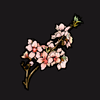 Peach blossom blanch.png